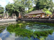 Indonesia - Holy water temple